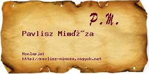Pavlisz Mimóza névjegykártya